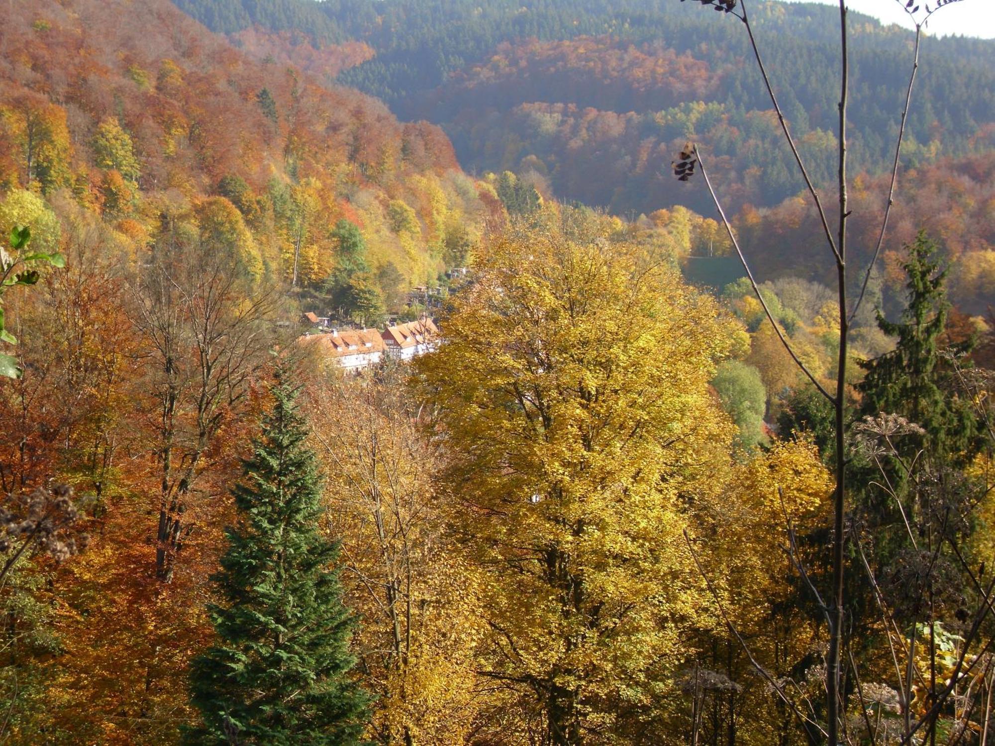 Naturkost-Hotel Harz Bad Grund Esterno foto