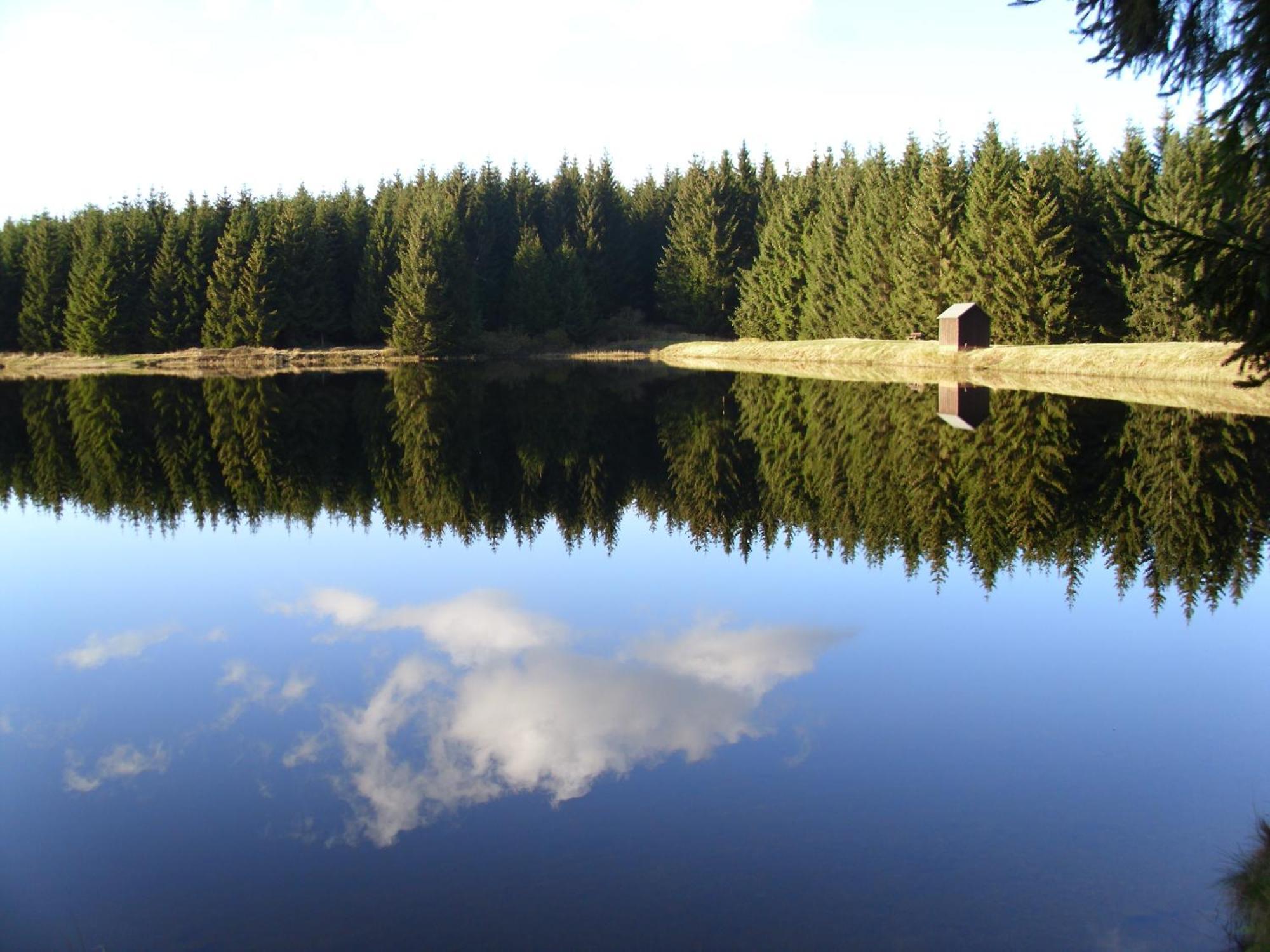 Naturkost-Hotel Harz Bad Grund Esterno foto