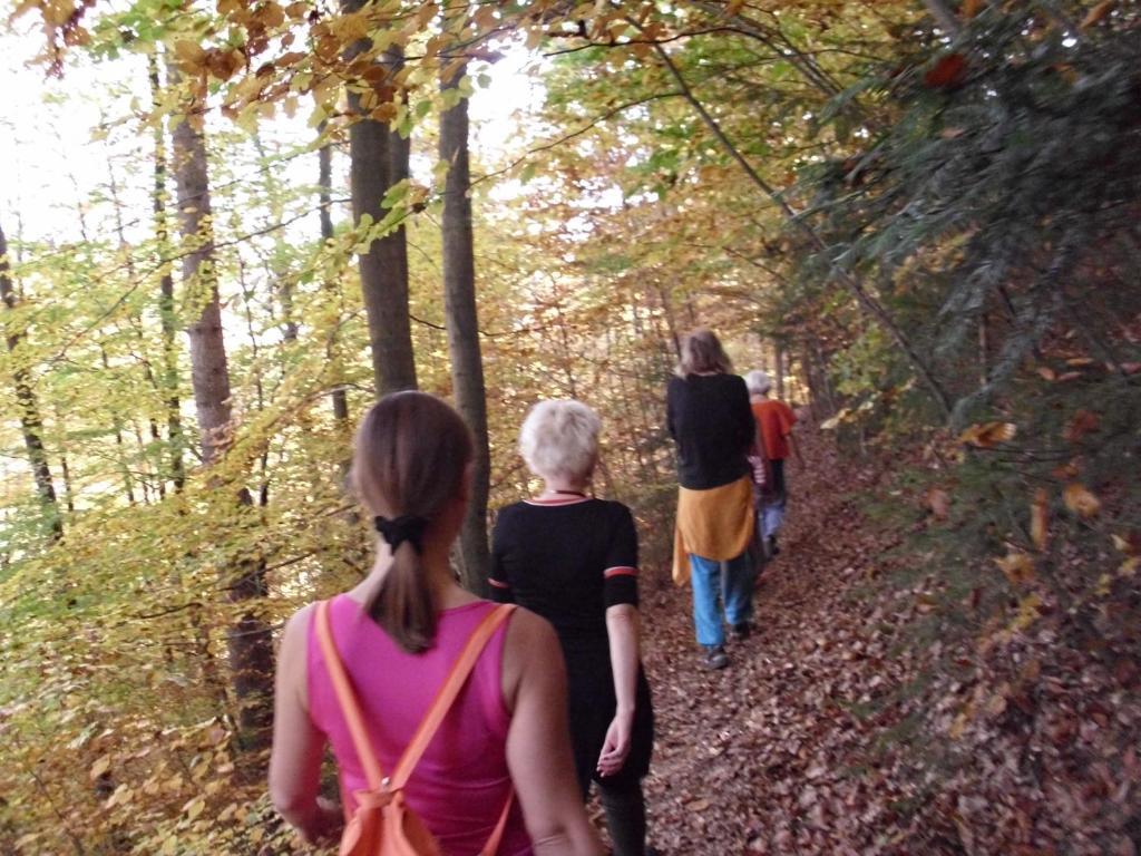 Naturkost-Hotel Harz Bad Grund Esterno foto